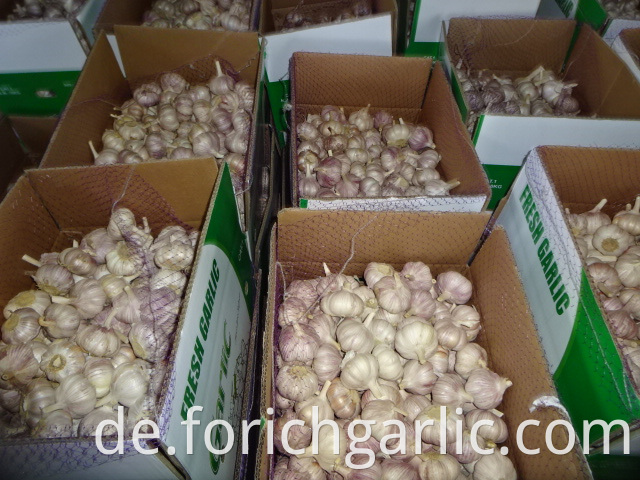 New Fresh Garlic